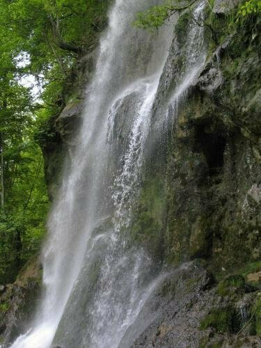 Landhotel Sonnenbühl, Забронировать Отель Отели Swabian Alps 3 звезды, 3*