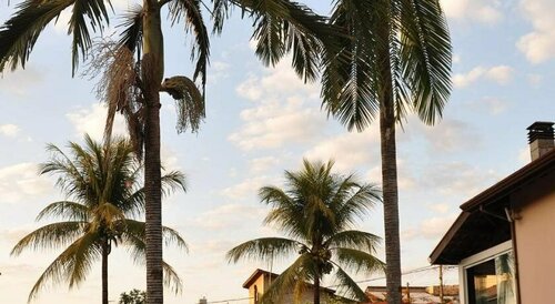 Pousada Shangrila RP, Забронировать Отель Рибейран-Прету штат Сан-Паулу