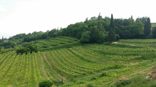 Relais Le Coste, Prenota Hotel Lavagno Veneto