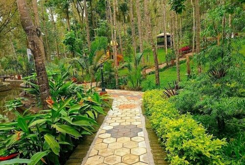 kolaahalam Mainland Resorts and Spa, Book Ferieresort Yercaud Tamil Nadu