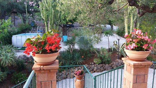 B&B Le Anthos, Réserver Chambre d'hôtes Hôtels à Cilento avec piscine, Piscine