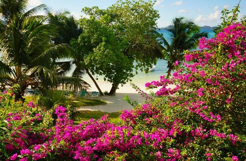 Hotel LArchipel, Réserver Hôtel Baie Sainte-Anne Île de Praslin
