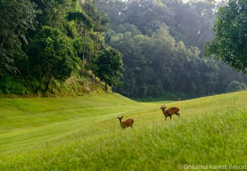 Gokarna Forest Resort Kathmandu, Забронировать Курортный отель Sundarijal провинция Багмати-Прадеш