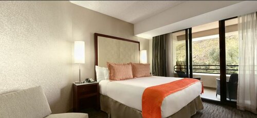 Hyatt Palm Springs, Забронировать Отель Отели Палм-Спрингса с бассейном, рядом с Ruth Hardy Park, Бассейн