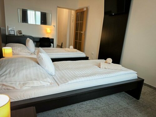 Hotel Modena, Boek Hotel Bratislava Hotels met een Zwembad, Zwembad