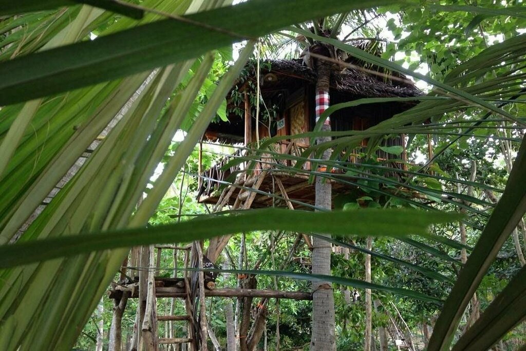 Nyuh Bengkok Tree House