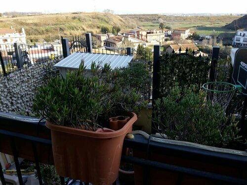 Rest In Fiera B&B, Boek Bed and Breakfast Hotels in Lazio met parkeren, Parkeren