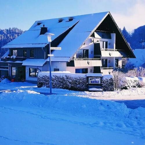 Ferienwohnungen Landhaus Meran inkl MeineCardPlus, Забронировать Дом для отпуска Центр города Медебах