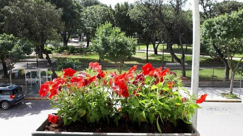 Holidayfever, Забронировать Отель Отели Альгеро 3 звезды, рядом с Alghero Marina, 3*