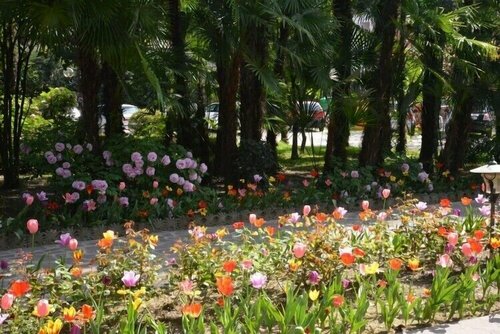 Hotel Terme Villa Piave, Забронировать Отель Отели в центре Абано-Терме с завтраком, отели в центре Абано-Терме с завтраком