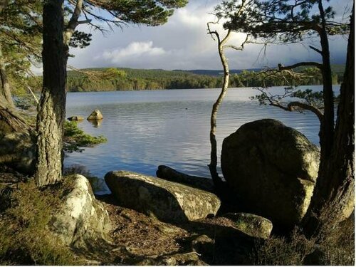 Rosehall Guest House, Book Pension Hoteller i Scotland med parkering, Parkering