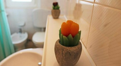 Hotel Lina, Book Hotel Cervia 