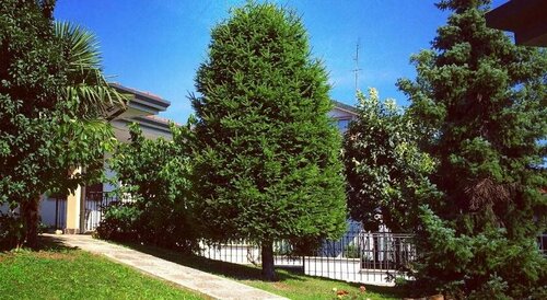 B&B Rogorotto Rho Fiera, Book Bed and Breakfast Hoteller i Rho med pool, Swimmingpool
