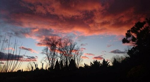 Mazet Des Artistes, Забронировать Отель Отели Альпий с завтраком, Завтраки