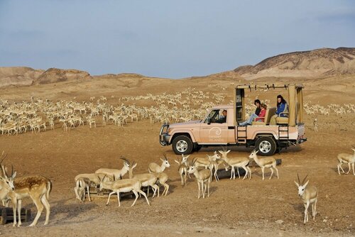 Anantara Sir Bani Yas Island Al Sahel Villas, Réserver Complexe hôtelier Da‘sah Sir Bani Yas Island