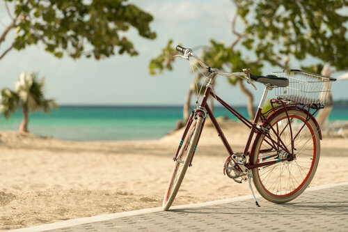 Kimpton - Hotel Palomar South Beach by IHG, Забронировать Отель Отели Miami Metropolitan Area с парковкой, Парковка