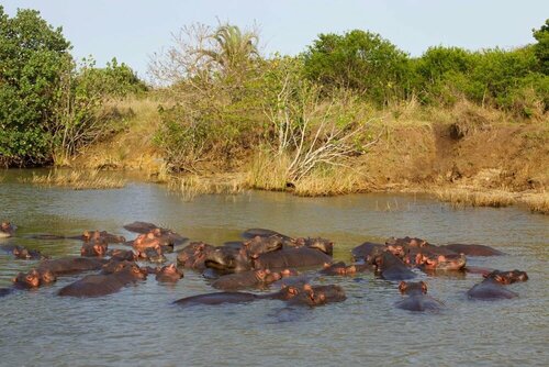 Lodge Afrique, Забронировать Отель Отели Сент-Люсии с завтраком, Завтраки