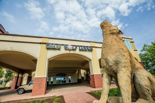 Great Wolf Lodge Illinois, Book Ferieresort Hoteller i Chicago med pool, Swimmingpool