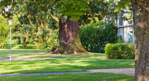 Hotel La Longeraie, Buchen Sie Hotel Morges La Vaud