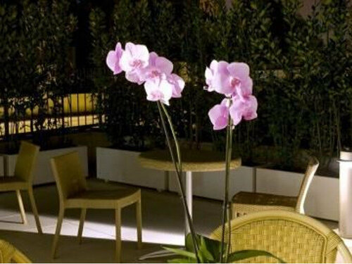 Relais 6 Via Tolmino, Book Hotel Rom Lazio