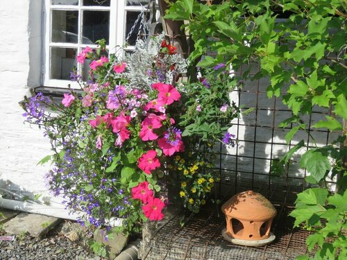 Kilna Guest House, Book Pension Saltash Cornwall