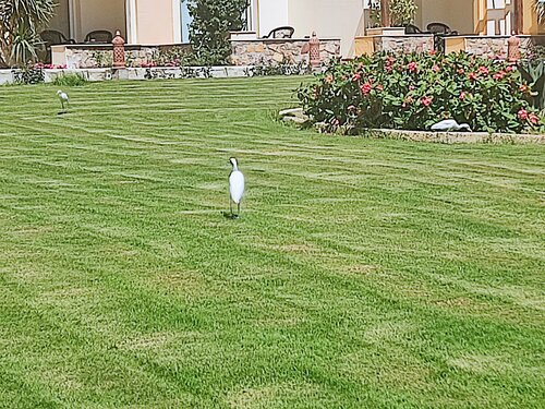 Concorde Moreen Beach Resort, Boek Resort Abu Dabab 