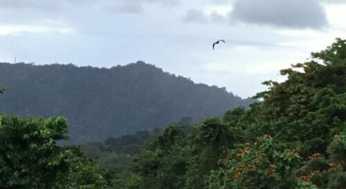 Dave Parker Eco Lodge, Boek Vakantiehuis Apia-Fagali Upolu