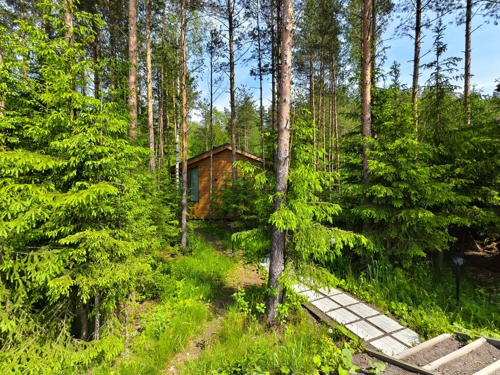 Дача ForestHall