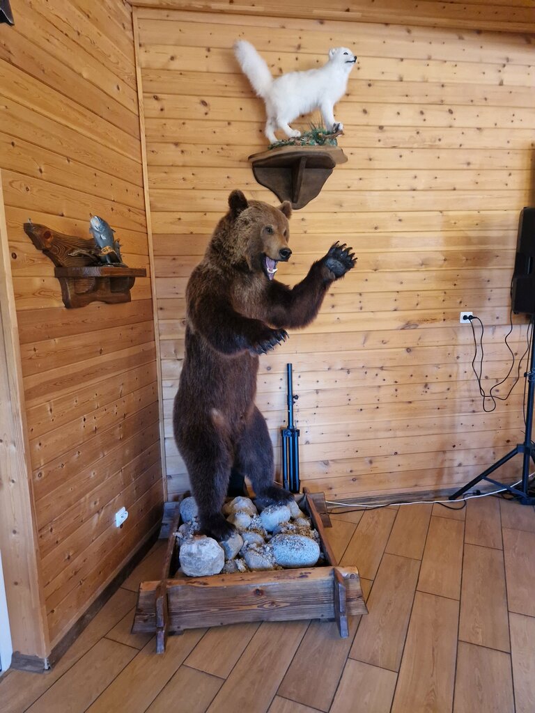 Оленья
