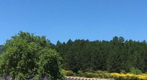 Hotel DAlbion, Забронировать Отель Со-де-Воклюз Mont Ventoux