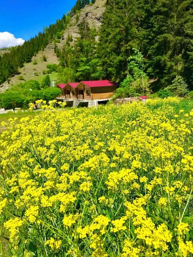 Green Valley Savsat, Rezerwuj Hotel Savsat Black Sea Region Turkey