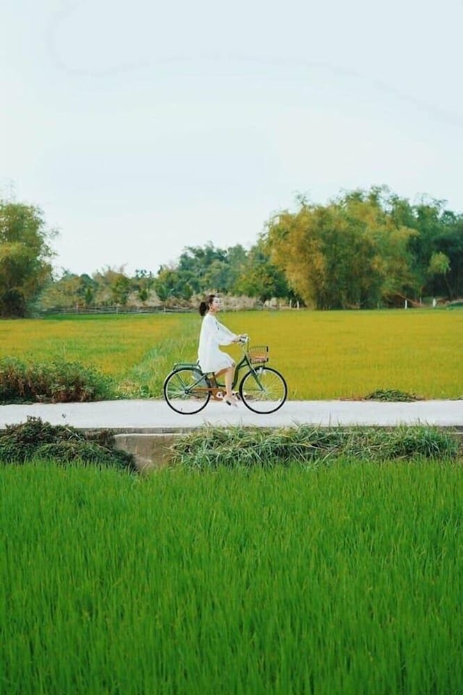 Rice River Villa - Hoi An