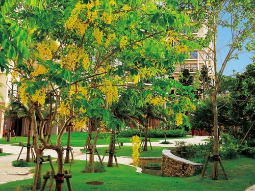 Moon Ocean Ginowan Hotel & Residence, Забронировать Отель Отели Okinawa Island - Central с бассейном, Бассейн