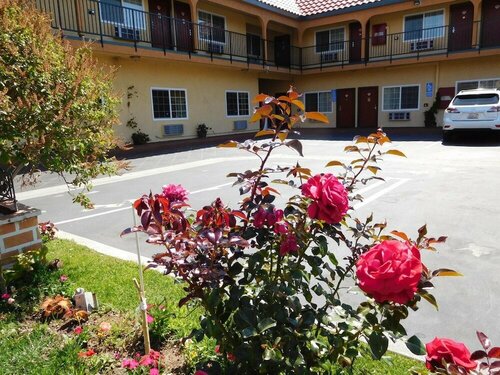 Diamond Inn, 予約 ホテル イングルウッド South Bay