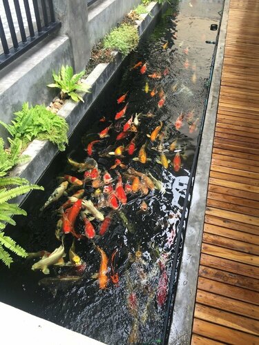 Phetcharat Grand Hotel Maesot, Забронировать Отель Отели Так с парковкой, Парковка