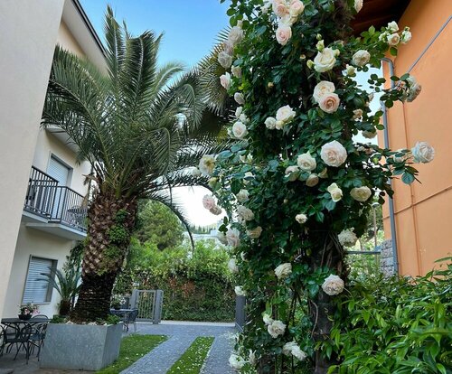 Villa Phoenix - Lake Apartments, Забронировать Апартаменты/квартира Рива-дель-Гарда Alto Garda e Ledro