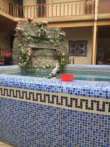 Elemir, Reserva ahora Hotel Hoteles de 5 estrellas en Samarcanda, 5*
