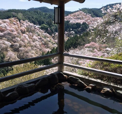 Yumoto Hounoya, Buchen Sie Pension Yoshino Nara