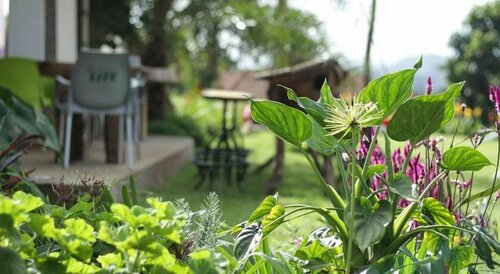 Boulevard Inn Mt Meru, Đặt Khách sạn Khách sạn ở Arusha bao gồm bữa sáng, Bữa sáng