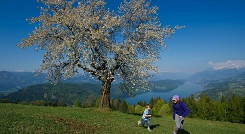 Pension Gertraud, Забронировать Отель Бад-Клайнкирххайм Bad Kleinkirchheim - Nock Mountains National Park, рядом с Спа-центр Thermal Römerbad