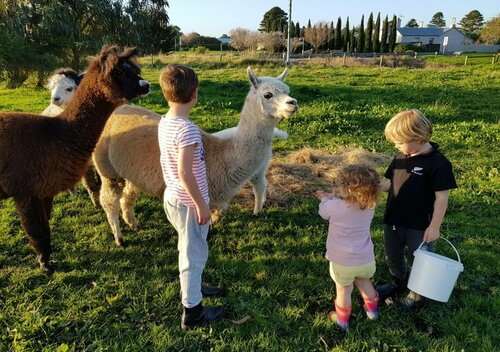 Clonmara Cottages, Book Feriehus Port Fairy Victoria