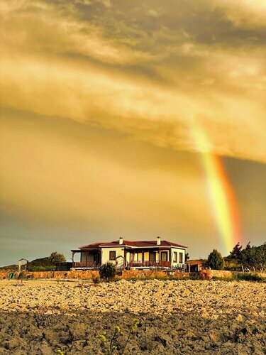 Tinos Hotel & Vineyard House