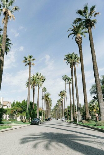 The Peninsula Beverly Hills, Забронировать Отель Отели Беверли-Хиллз с бассейном, Бассейн
