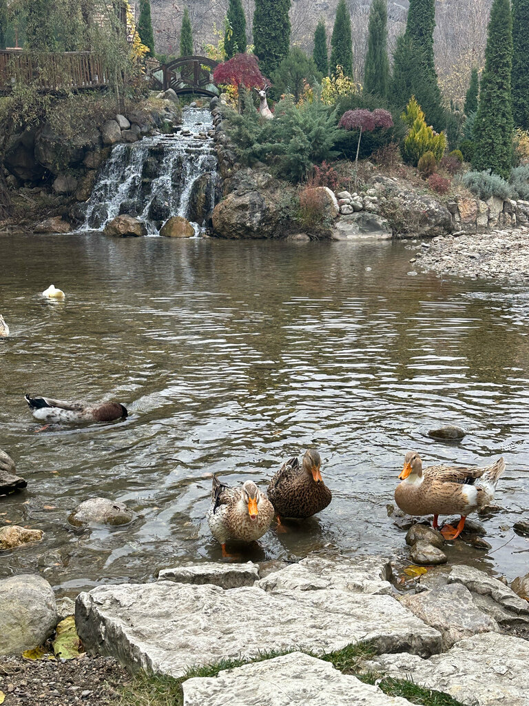 Getahovit Resort