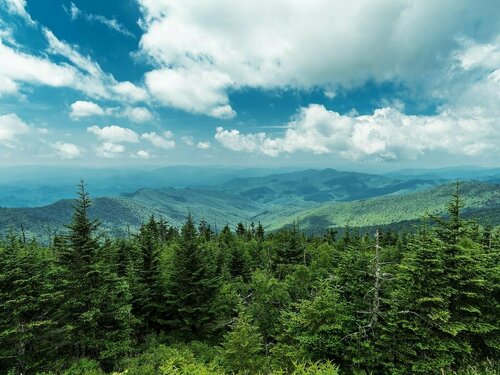 Mountain Shadow Resort, Забронировать Курортный отель Гатлинберг Great Smoky Mountains National Park