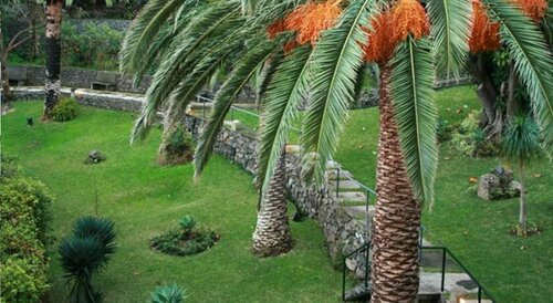 Dom Pedro Madeira, Reserva ahora Hotel Hoteles de 4 estrellas en Machico, 4*