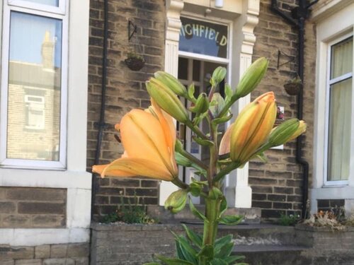 Highfield Guesthouse, Забронировать Гостевой дом Отели Yorkshire Dales с парковкой, Парковка