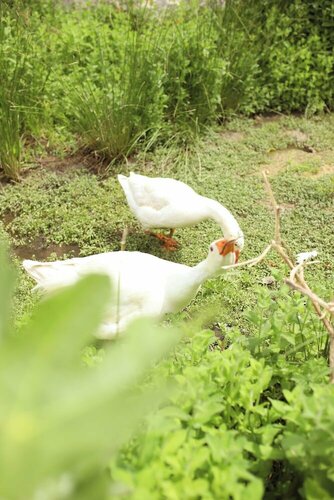 São Brás do Regedouro - Turismo na Aldeia, Забронировать Отель Эвора-Монте Центр Алентежу
