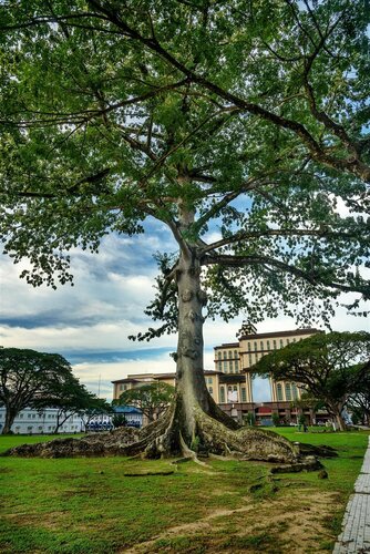 Dormani Hotel Kuching, Reserva ahora Hotel Kuching 