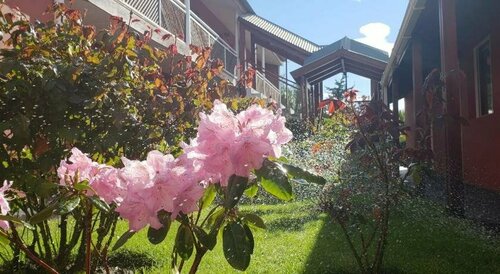 Hosteria Patagonia, Reserva ahora Bed & breakfast El Calafate 